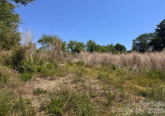 3rd image of 00 Oxford School Rd, Claremont, NC 28610 | MLS# 4381703