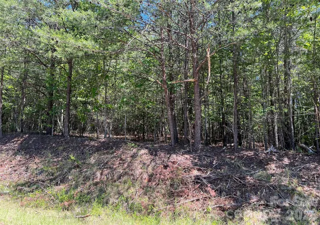 11th image of 0 Luckadoo Mountain Rd #177, Bostic, NC 28018 | MLS# 4381808