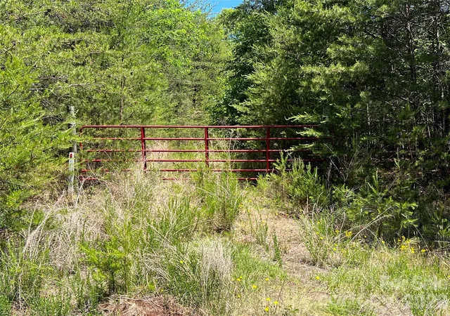 2nd image of 0 Luckadoo Mountain Rd #177, Bostic, NC 28018 | MLS# 4381808