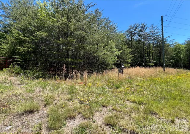 3rd image of 0 Luckadoo Mountain Rd #177, Bostic, NC 28018 | MLS# 4381808