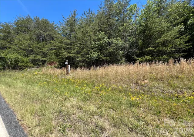 4th image of 0 Luckadoo Mountain Rd #177, Bostic, NC 28018 | MLS# 4381808