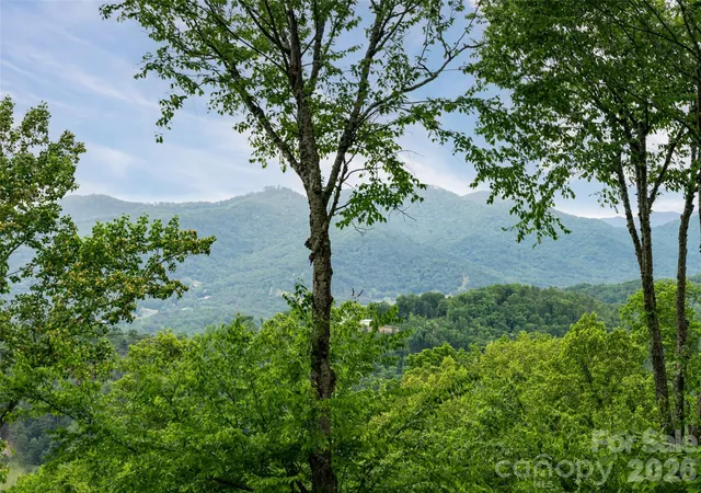 Photo 3 of Single family home for sale at 29 Elk Ridge Dr, Asheville, NC 28804 | MLS# 4381856 | Listing updated on 2026-06-23