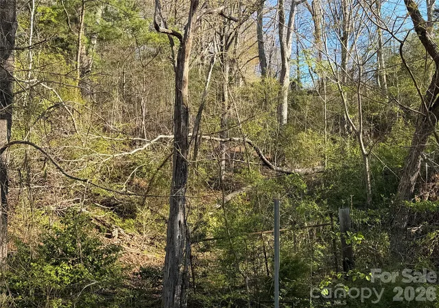 Photo 2 of Land for sale at 219 Bee Ridge Rd, Asheville, NC 28803 | MLS# 4381921 | Listing updated on 2026-05-14