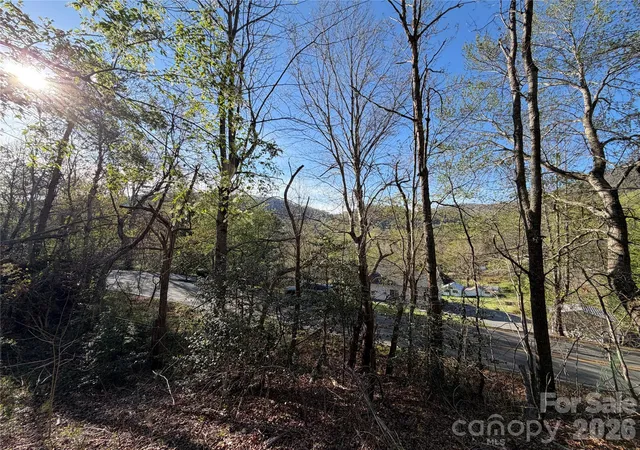Photo 3 of Land for sale at 219 Bee Ridge Rd, Asheville, NC 28803 | MLS# 4381921 | Listing updated on 2026-05-14