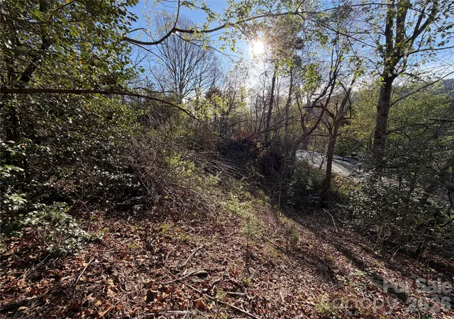 Photo 3 of Land for sale at 219 Bee Ridge Rd, Asheville, NC 28803 | MLS# 4381921 | Listing updated on 2026-05-14