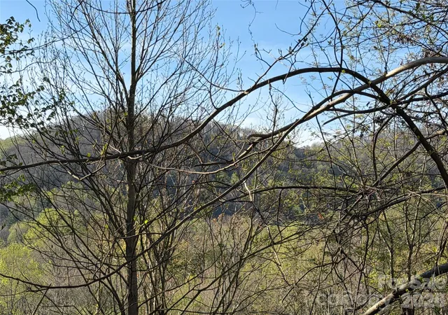 Photo 4 of Land for sale at 219 Bee Ridge Rd, Asheville, NC 28803 | MLS# 4381921 | Listing updated on 2026-05-14