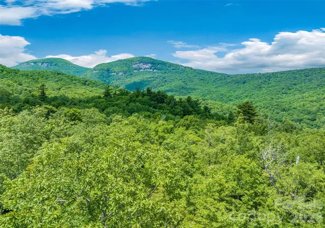 Homes for sale in Lake Toxaway, NC | 2 Cardinal Dr W #TRP 2, Lake Toxaway, NC 28747 | MLS# 4382051