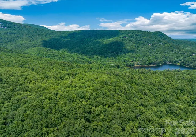 Homes for sale in Lake Toxaway, NC | 2 Cardinal Dr W #TRP 2, Lake Toxaway, NC 28747 | MLS# 4382051