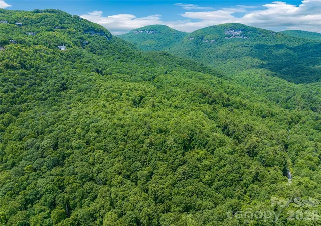 Homes for sale in Lake Toxaway, NC | 2 Cardinal Dr W #TRP 2, Lake Toxaway, NC 28747 | MLS# 4382051