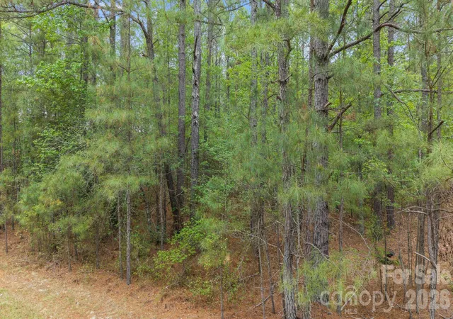 Photo 2 of Land for sale at Vacant Davis Haywood Rd, Mount Gilead, NC 27306 | MLS# 4382140 | Listing updated on 2026-07-24