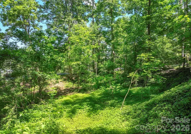 2nd image of 99999 Montford Ave, Asheville, NC 28801 | MLS# 4382165