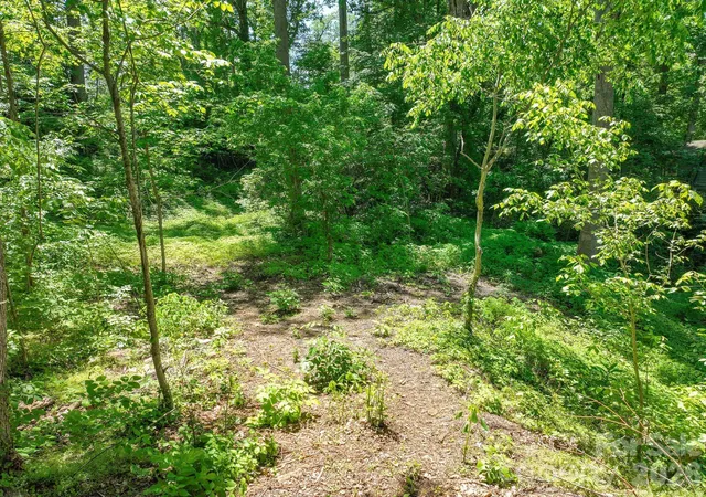 3rd image of 99999 Montford Ave, Asheville, NC 28801 | MLS# 4382165