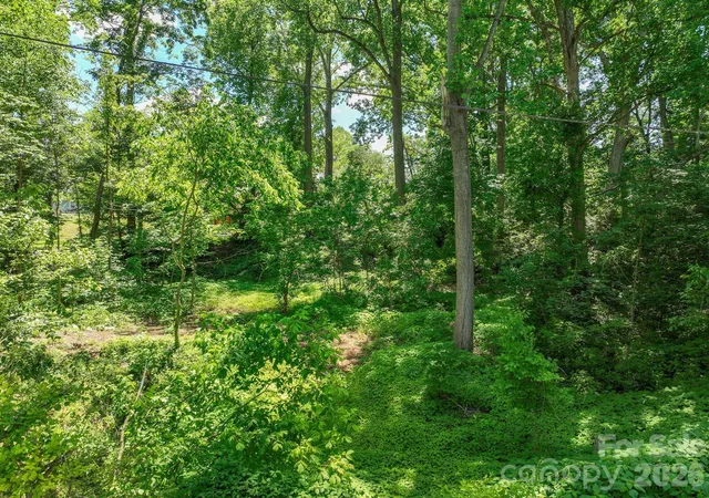4th image of 99999 Montford Ave, Asheville, NC 28801 | MLS# 4382165