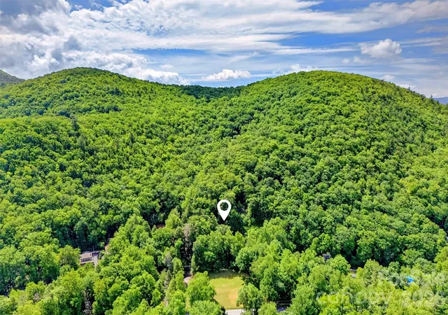 40th image of 238 Texas Spur Rd, Black Mountain, NC 28711 | MLS# 4382186
