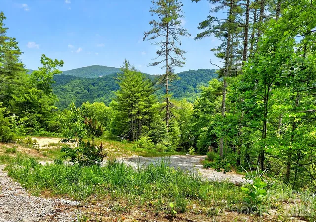 3rd image of 259 East Lester Ln, Hendersonville, NC 28739 | MLS# 4382227