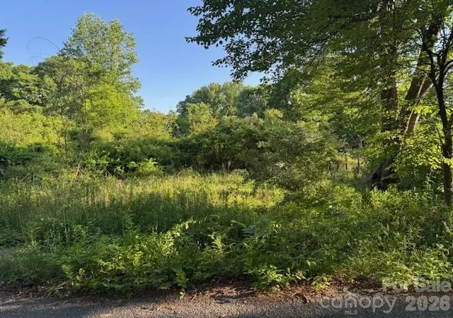 Photo 1 of Land for sale at 202 Dundee St, Hendersonville, NC 28791 | MLS# 4382236 | Listing updated on 2026-05-20