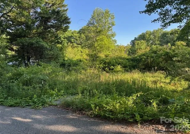 Photo 2 of Land for sale at 202 Dundee St, Hendersonville, NC 28791 | MLS# 4382236 | Listing updated on 2026-05-20