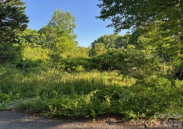 Photo 3 of Land for sale at 202 Dundee St, Hendersonville, NC 28791 | MLS# 4382236 | Listing updated on 2026-05-20