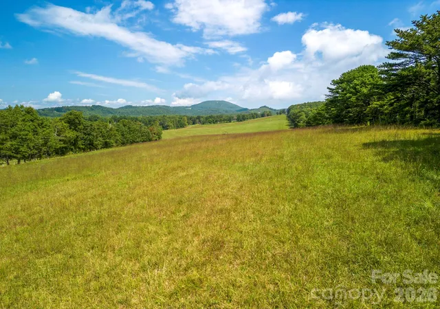 Photo 4 of Land for sale at Tbd Summer Rd #2, Hendersonville, NC 28792 | MLS# 4382274 | Listing updated on 2026-07-25