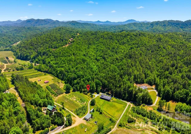 Photo 4 of Land for sale at 81 +/- Acres 2967 Roby Martin Rd, Lenoir, NC 28645 | MLS# 4382346 | Listing updated on 2026-10-13