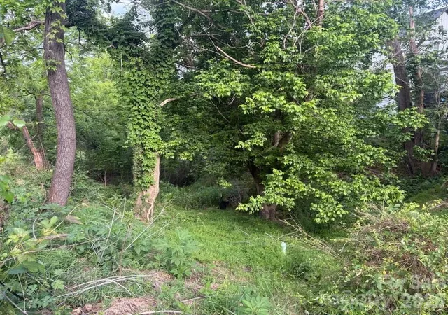 3rd image of 111 Waynesville Ave, Asheville, NC 28806 | MLS# 4382369