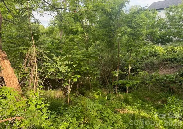 5th image of 111 Waynesville Ave, Asheville, NC 28806 | MLS# 4382369