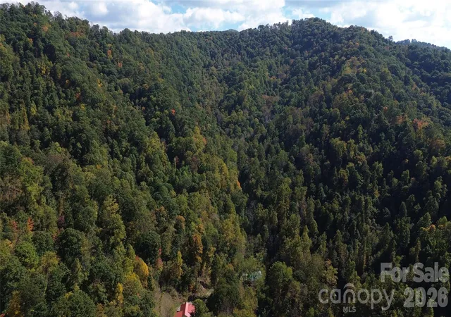 Photo 3 of Land for sale at 9999 Kelses Valley Dr, Mars Hill, NC 28754 | MLS# 4382629 | Listing updated on 2026-10-15