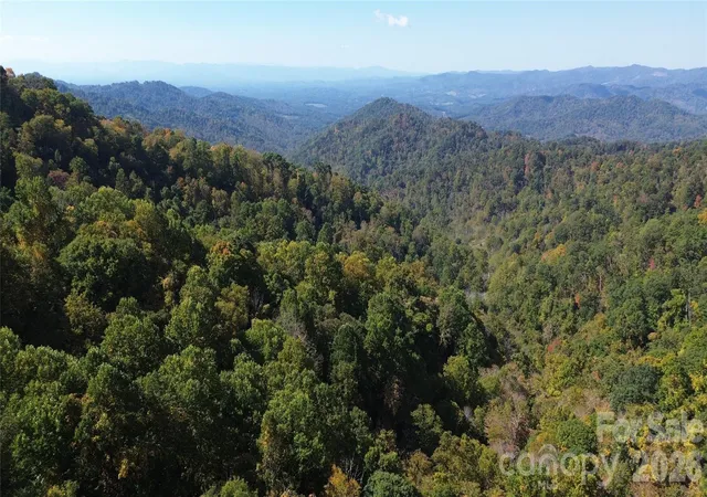 Photo 4 of Land for sale at 9999 Kelses Valley Dr, Mars Hill, NC 28754 | MLS# 4382629 | Listing updated on 2026-10-15