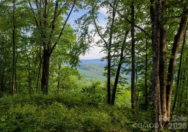 2nd image of 000 New Sprout Ln #2, Hendersonville, NC 28792 | MLS# 4382861