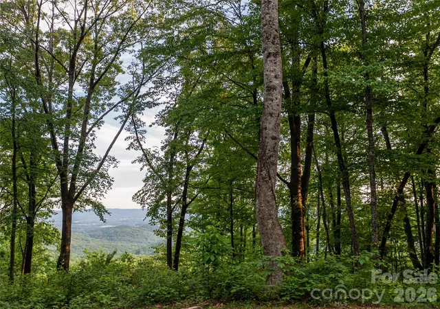 3rd image of 000 New Sprout Ln #2, Hendersonville, NC 28792 | MLS# 4382861