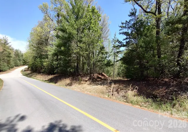 Homes for sale in Purlear, NC | 0 Staghorn Rd, Purlear, NC 28665 | MLS# 4382924