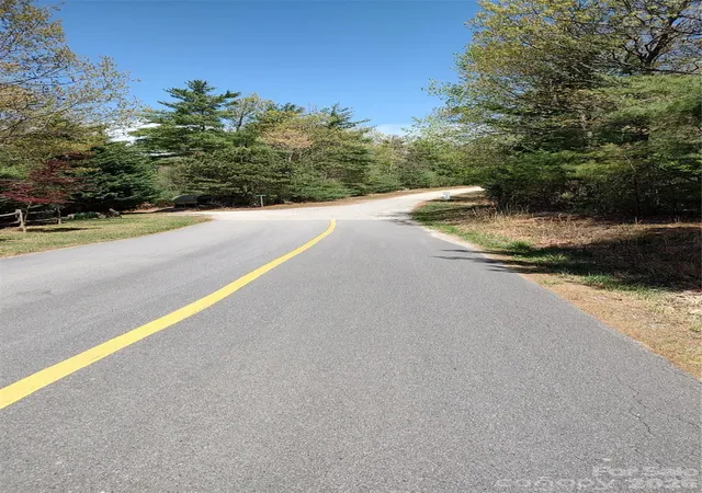 Homes for sale in Purlear, NC | 0 Staghorn Rd, Purlear, NC 28665 | MLS# 4382924
