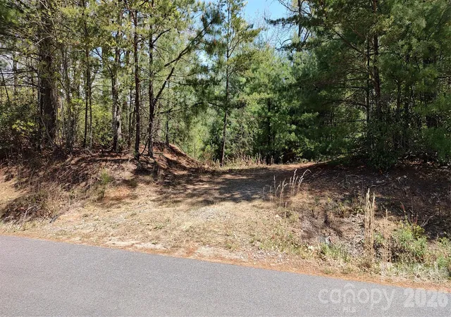 Homes for sale in Purlear, NC | 0 Staghorn Rd, Purlear, NC 28665 | MLS# 4382924
