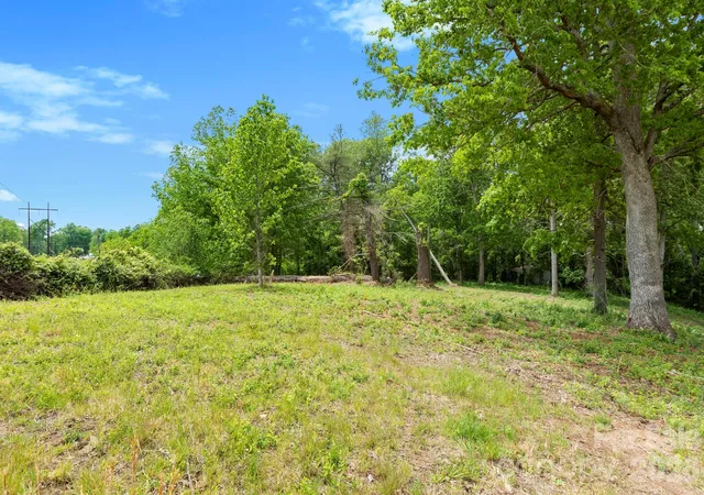 Land for sale at 99999 Wild Goose Way #2R, Asheville, NC 28804 | MLS# 4382979
