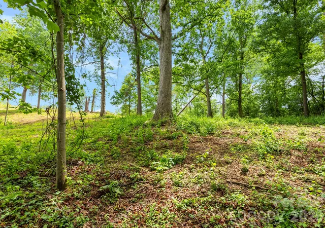 Photo 2 of Land for sale at 99999 Wild Goose Way #2R, Asheville, NC 28804 | MLS# 4382979 | Listing updated on 2026-10-01