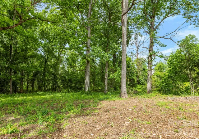 Photo 4 of Land for sale at 99999 Wild Goose Way #2R, Asheville, NC 28804 | MLS# 4382979 | Listing updated on 2026-10-01