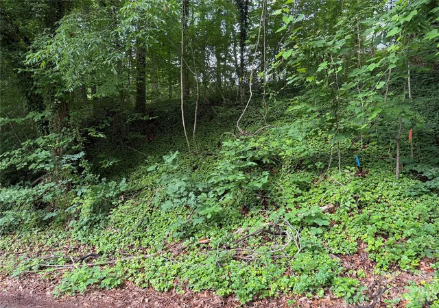 Photo 3 of Land for sale at 89 Iris St, Asheville, NC 28803 | MLS# 4382991 | Listing updated on 2026-07-15