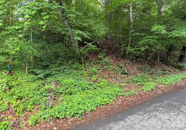 Photo 3 of Land for sale at 87 Iris St, Asheville, NC 28803 | MLS# 4382996 | Listing updated on 2026-07-15