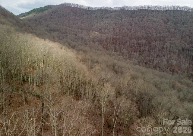 Photo 3 of Land for sale at 00 Upper Tuskeegee Rd, Robbinsville, NC 28771 | MLS# 4383116 | Listing updated on 2026-05-18