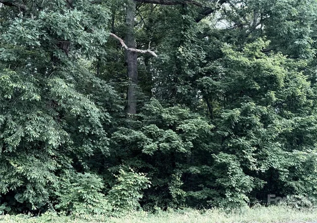 Photo 2 of Land for sale at 0 Buffalo Shls Rd, Statesville, NC 28677 | MLS# 4383223 | Listing updated on 2026-09-02