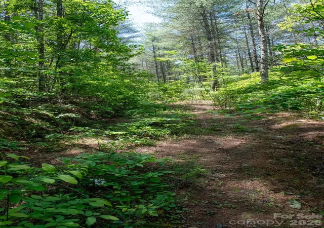 Photo 4 of Land for sale at 000 Narrow Gauge Dr #18, Lenoir, NC 28645 | MLS# 4383230 | Listing updated on 2026-05-19