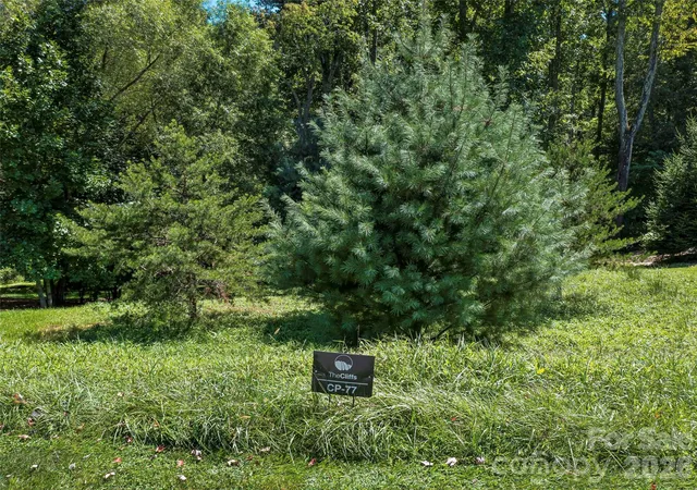 2nd image of 19 Mountain Orchid Wy #77, Arden, NC 28704 | MLS# 4383290