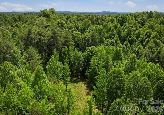 5th image of 0 Nc 126 Rd, Morganton, NC 28655 | MLS# 4383350