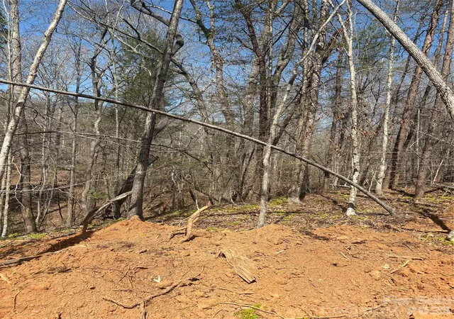 2nd image of Tbd Avenida De Oro Rd #3.2, Morganton, NC 28655 | MLS# 4383470