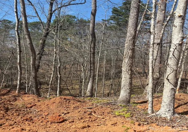 4th image of Tbd Avenida De Oro Rd #3.2, Morganton, NC 28655 | MLS# 4383470