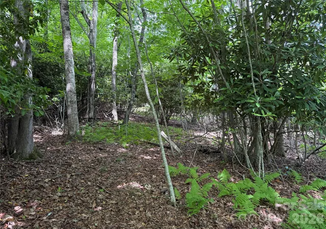 Photo 3 of Land for sale at 0000 Hardwood Summit Dr #191, Hendersonville, NC 28739 | MLS# 4383585 | Listing updated on 2026-06-01