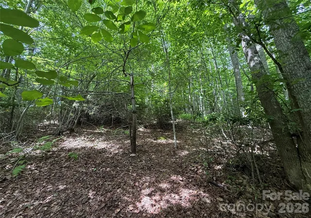 Photo 3 of Land for sale at 0000 Hardwood Summit Dr #191, Hendersonville, NC 28739 | MLS# 4383585 | Listing updated on 2026-06-01