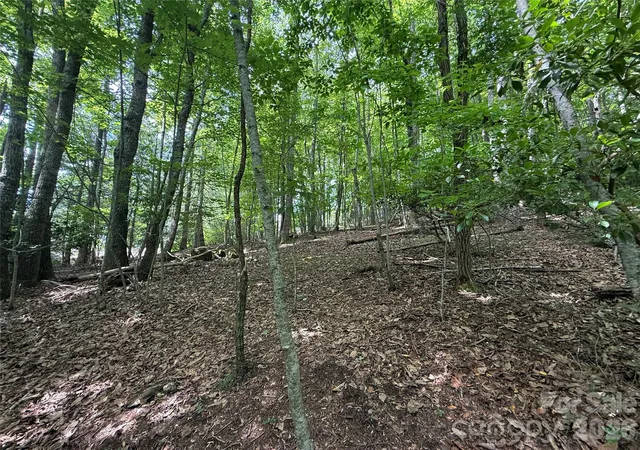 Photo 4 of Land for sale at 0000 Hardwood Summit Dr #191, Hendersonville, NC 28739 | MLS# 4383585 | Listing updated on 2026-06-01