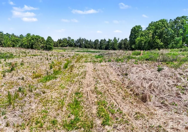 Photo 3 of Land for sale at 1832 Tysinger Rd, Denton, NC 27239 | MLS# 4383655 | Listing updated on 2026-07-23