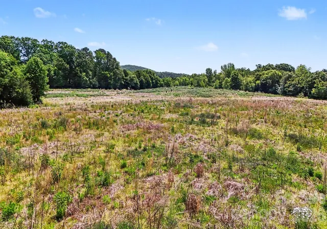 Photo 3 of Land for sale at 1832 Tysinger Rd, Denton, NC 27239 | MLS# 4383655 | Listing updated on 2026-07-23